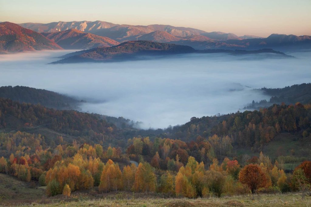 Mist gathered between the Rodna mountains at sunset