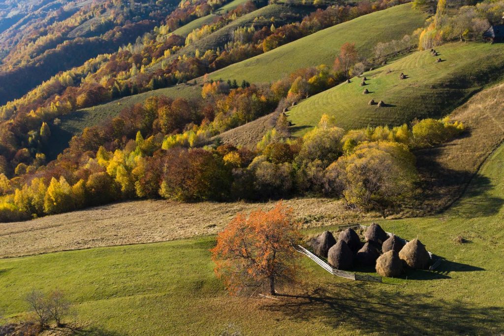 Rolling hills in the Rodna mountains